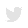 twitter icon